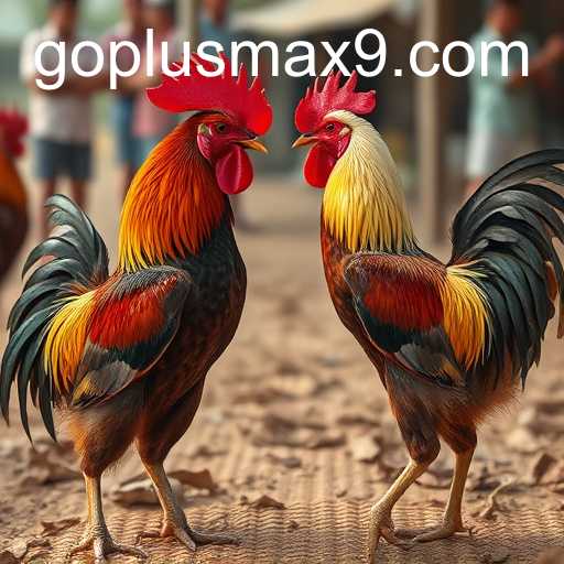 Exploring the Controversial World of Cockfighting and Its Connection to GOPLUS MAX